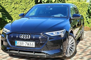 S Line 55 Moc 408 KM, ze Szwajcarii, zarejestrowany Polecam